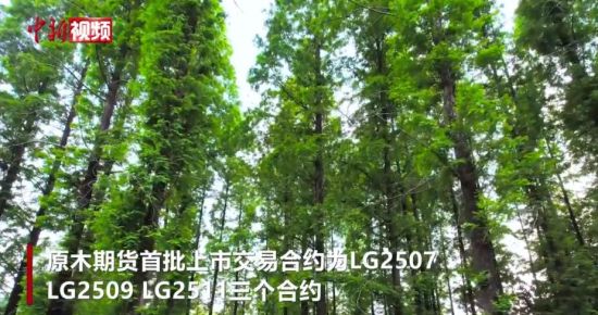 原木期貨、期權將分別于11月18、19日起上市交易